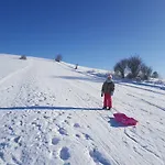 Antonowka Çiftlik konaklama Trybsz