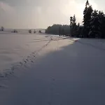Antonowka