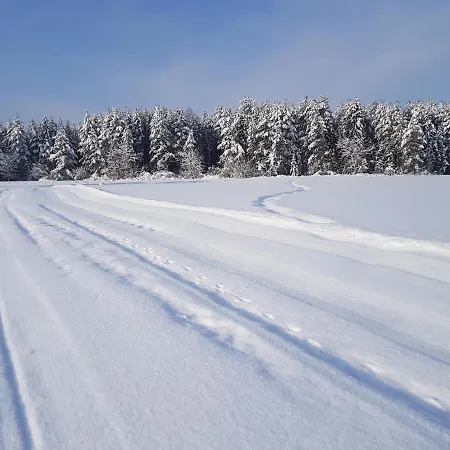 Antonowka Farm stay *
